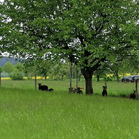 Auf Dem Land Holiday home Stadtilm