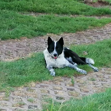 Auf Dem Land Stadtilm