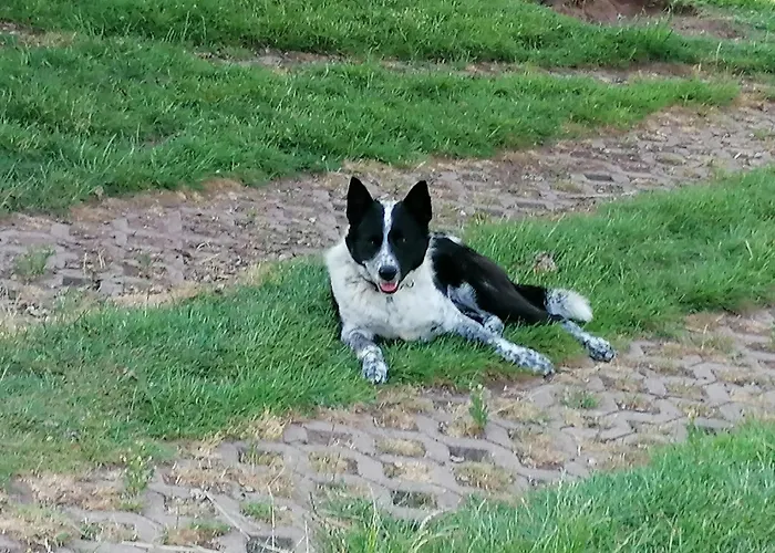 Auf Dem Land Stadtilm