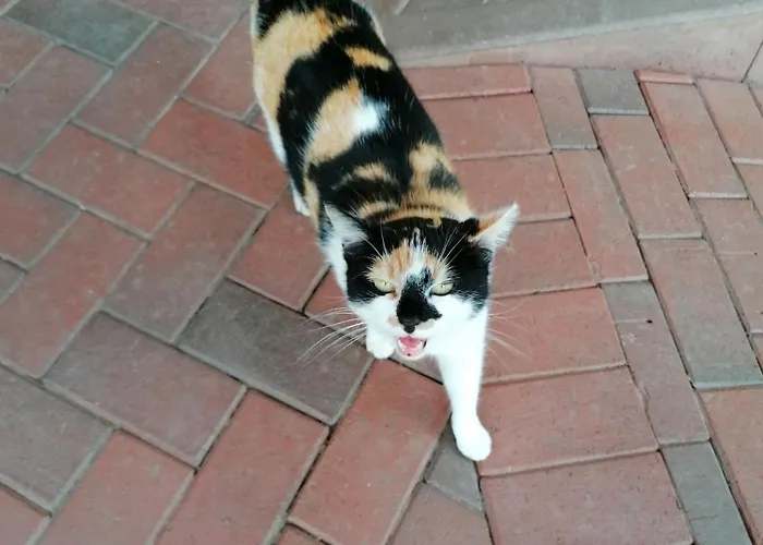 Holiday home Auf Dem Land Stadtilm